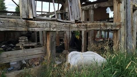 Photo from Barely Balancing 