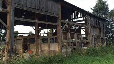 Barely Balancing  - IMG_3840 (1).jpg