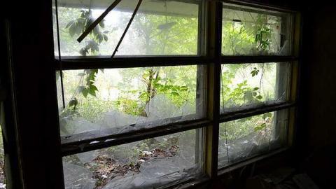 Photo from July 2016