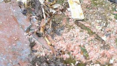 July 2016 - DSC_0339.jpg