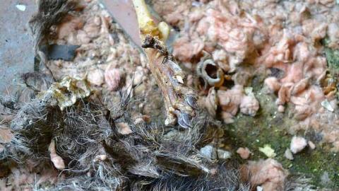 July 2016 - DSC_0340.jpg