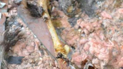 July 2016 - DSC_0342.jpg