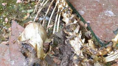 July 2016 - DSC_0343.jpg