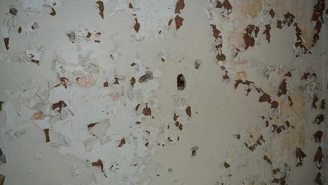 July 2016 - DSC_0345.jpg