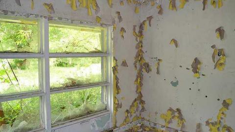 July 2016 - DSC_0350.jpg