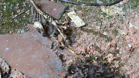 July 2016 - DSC_0351.jpg