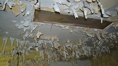 July 2016 - DSC_0250.jpg