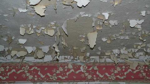 July 2016 - DSC_0255.jpg