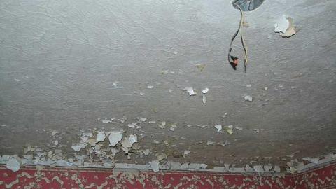 July 2016 - DSC_0256.jpg