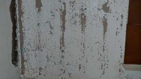 July 2016 - DSC_0257.jpg