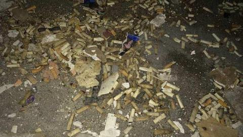 Trensept Automation - IMG_30091.jpg