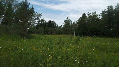 Splatalot - Abandoned-Splatalot-Game-Show205.jpg