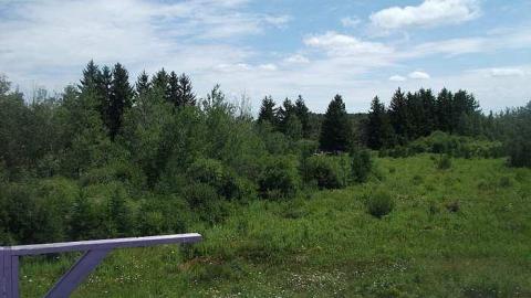 Splatalot - Abandoned-Splatalot-Game-Show235.jpg