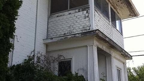 White house - White-House-in-Bloom3.jpeg