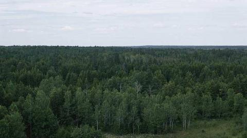 July 2016 - Technical-Farm-Mill33.jpg