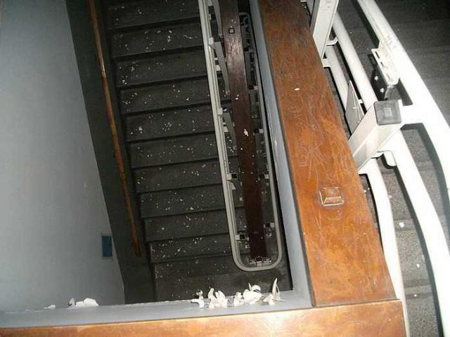 Devine Street Public School photo 2