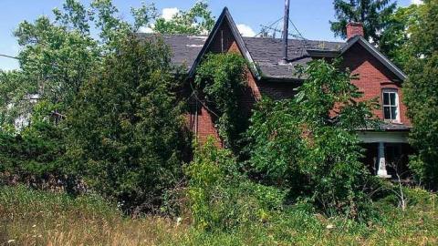 August 2016 - MILTON TREMAINE FARM-19.jpg