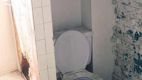 August 2016 - MILTON TREMAINE FARM-14.jpg