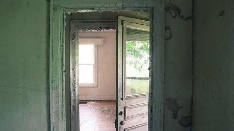 August 2016 - MILTON TREMAINE FARM-13.jpg