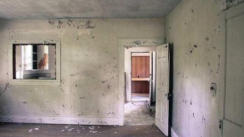 August 2016 - MILTON TREMAINE FARM-12.jpg