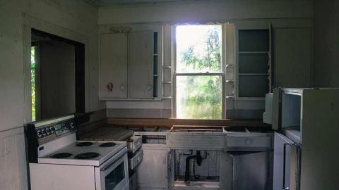 August 2016 - MILTON TREMAINE FARM-11.jpg