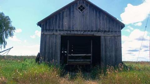 August 2016 - MILTON TREMAINE FARM-9.jpg