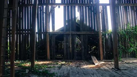 August 2016 - MILTON TREMAINE FARM-7.jpg