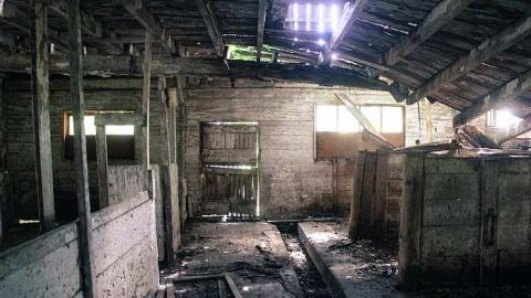 August 2016 - MILTON TREMAINE FARM-5.jpg