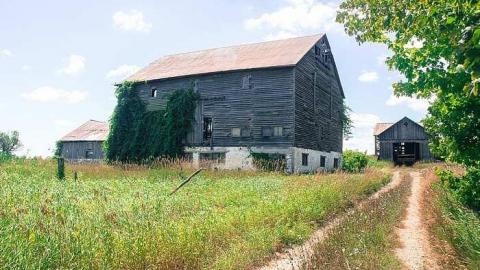 August 2016 - MILTON TREMAINE FARM-2.jpg