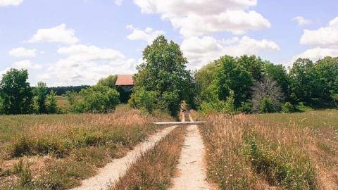 August 2016 - MILTON TREMAINE FARM.jpg