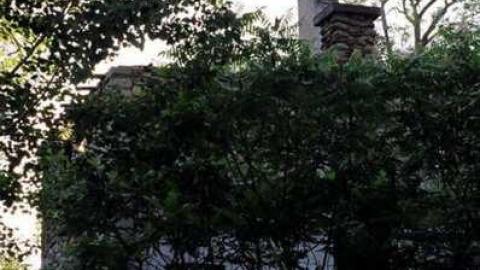 The Castle - 014_13A.jpg