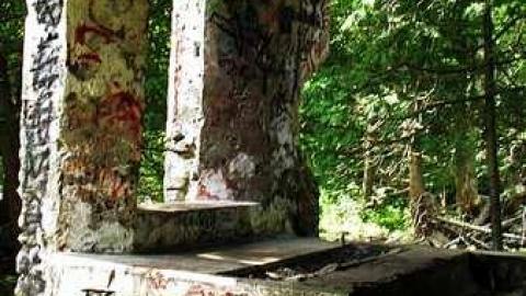 Flowing Waters - Eugenia-Falls--Ghost-Town71.jpg