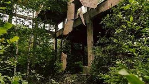 July 31, 2016 - Donald-(ghost-chemical-plant)63.jpg