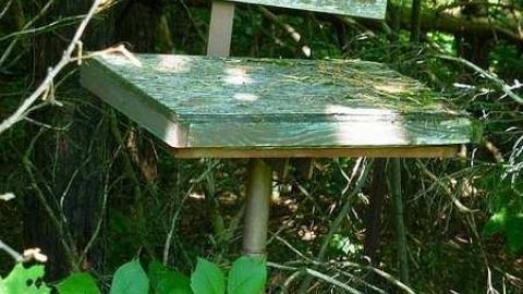 Midhurst Pioneers - The-Midhurst-Pioneer-Cemetery4.jpg