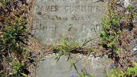 Midhurst Pioneers - The-Midhurst-Pioneer-Cemetery6.jpg