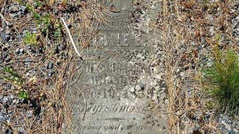 Midhurst Pioneers - The-Midhurst-Pioneer-Cemetery8.jpg