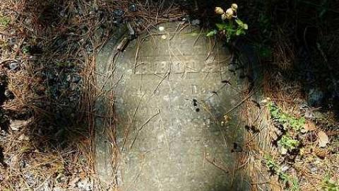 Midhurst Pioneers - The-Midhurst-Pioneer-Cemetery10.jpg