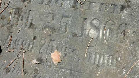 Midhurst Pioneers - The-Midhurst-Pioneer-Cemetery12.jpg