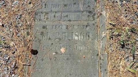 Midhurst Pioneers - The-Midhurst-Pioneer-Cemetery13.jpg