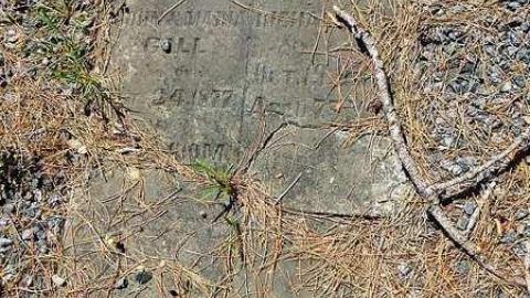 Midhurst Pioneers - The-Midhurst-Pioneer-Cemetery14.jpg