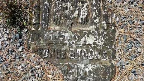 Midhurst Pioneers - The-Midhurst-Pioneer-Cemetery15.jpg