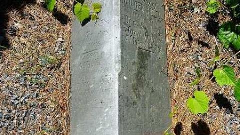 Midhurst Pioneers - The-Midhurst-Pioneer-Cemetery17.jpg