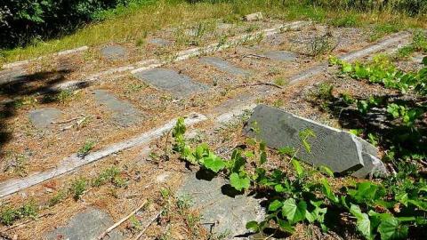 Midhurst Pioneers - The-Midhurst-Pioneer-Cemetery19.jpg