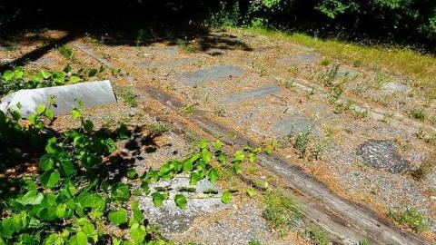 Midhurst Pioneers - The-Midhurst-Pioneer-Cemetery20.jpg