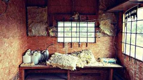 Photo from Gas Station