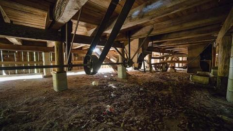 Photo from 7/30/2016