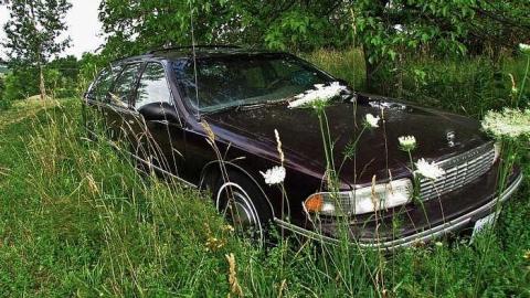 Photo from Junk, junk, junk