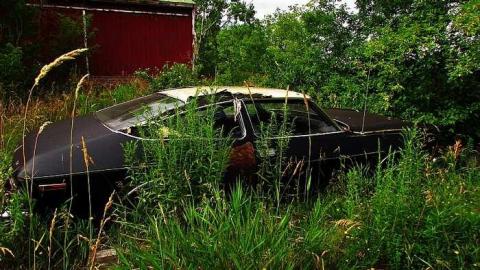 Junk, junk, junk - IMG_2677.jpg