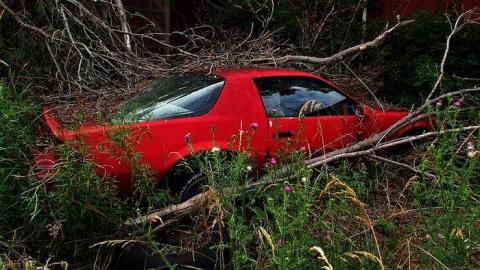 Junk, junk, junk - IMG_2678.jpg