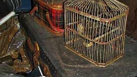 Junk, junk, junk - IMG_2686.jpg